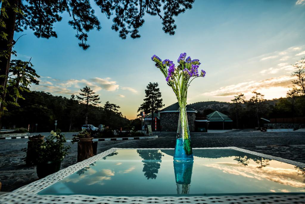 Troodos Hotel Exterior foto